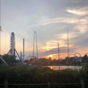 Meet your Posher, Madison